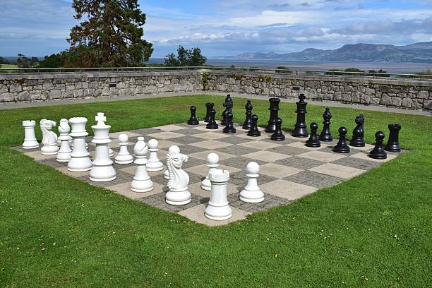 istock Game of chess on teh lawn 2223808396
