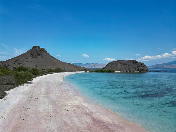 istock pink beach, komodo national park, indonesia 2223809802