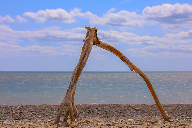 Cleverly balanced wood sculpture on the beach, against a blue sky
