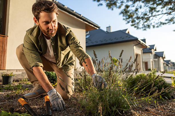 istock Man working in the garden and looking involved and busy 2223813193