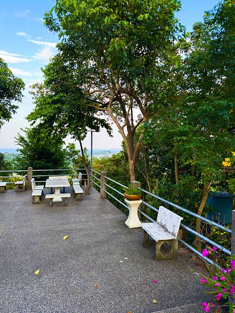 istock Scenic Overlook with Seating Amidst Lush Greenery in Southeast Asia 2223816074