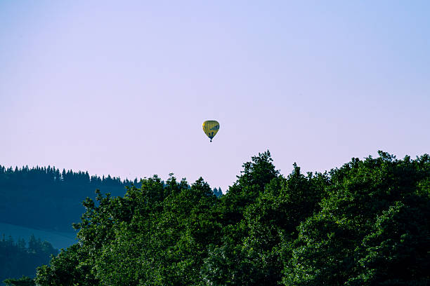A yellow hot air balloon hovers above treetops, floating gently in a clear sky over a forested landscape at sunrise or sunset.