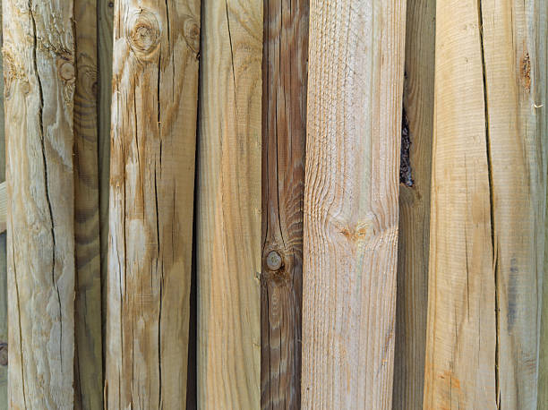 istock Vertical natural wooden poles background 2223819700