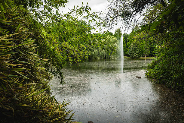 A peaceful and serene pond showcases a joyful fountain that is beautifully framed by lush green grass and trees