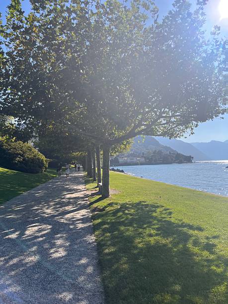 istock Shaded Lakeside Walkway at Lake Como, Italy 2223824265