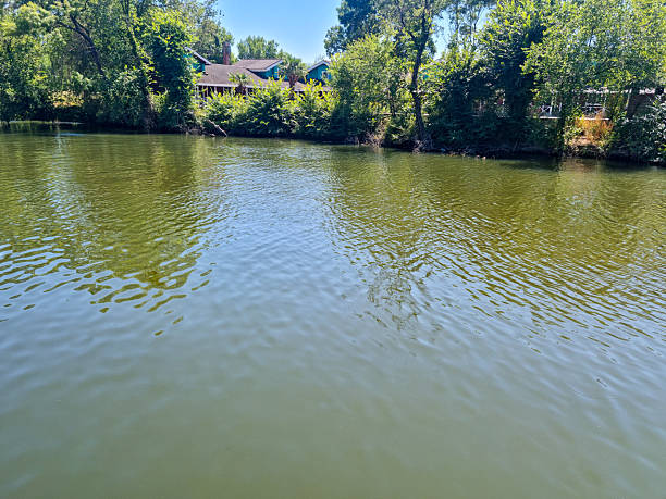 The house is located on a large pond
