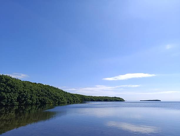 istock View of the coastline in Deering State Park 2223828855