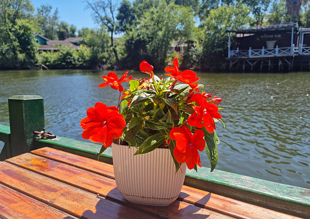 Shallow depth of field, people walking by, boats in background.