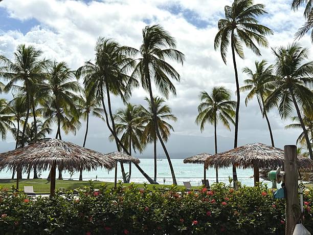 istock Holidays in Guadeloupe 2223833308