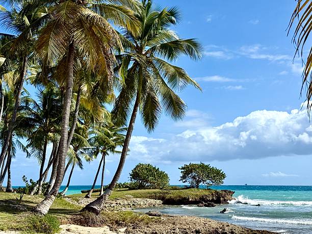 istock guadeloupe landscape 2223833337