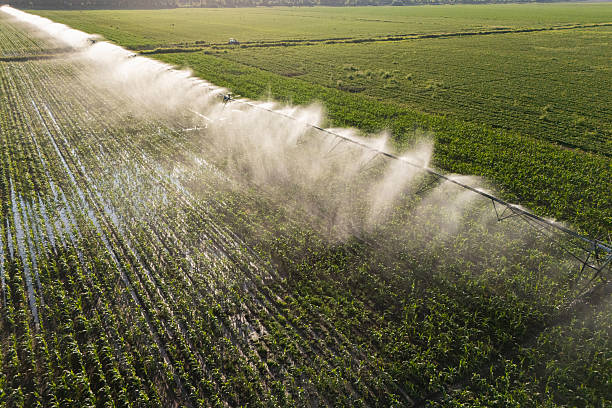 istock Agricultural pivot irrigation system on a corn field 2223838000