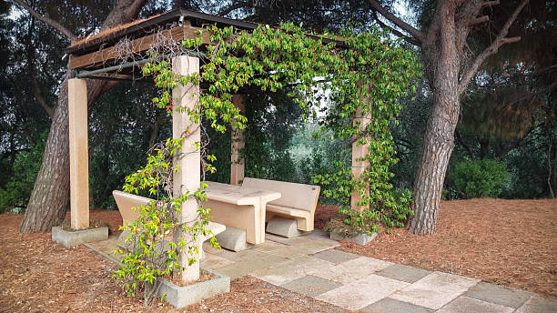 istock Relaxing outdoor seating area surrounded by trees and greenery in a tranquil park setting 2223840356