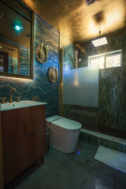 istock Ocean-Inspired Bathroom with Gold Ceiling and Custom Wall Art 2223841622