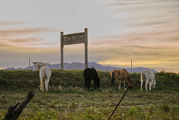 istock Horses grazing peacefully at sunset under a peace sign 2223844788