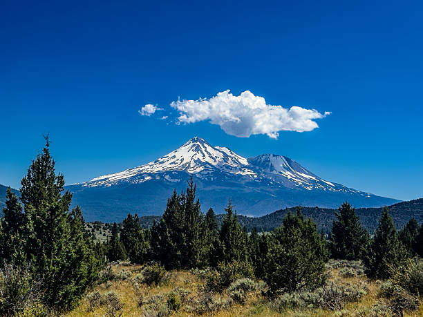 On a crystal-clear day in Northern California, Mount Shasta rises in quiet majesty beneath a brilliant blue sky. A single, delicate cloud floats above its snow-dusted peak, casting a soft shadow that barely interrupts the light. In the foreground, evergreens frame the view, grounding the composition in natural harmony. This photograph captures the stillness and strength of Shasta—a sacred mountain long revered for its spiritual energy—while celebrating the quiet power of simplicity in nature. It invites the viewer to pause, breathe, and reflect on the grace of solitude and the beauty of perspective.