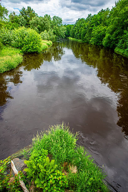 istock Eau Claire River in Ringle, Wisconsin during early summer with high water 2223857629