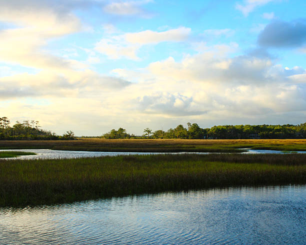 istock Landscapes from the beach 2223860991