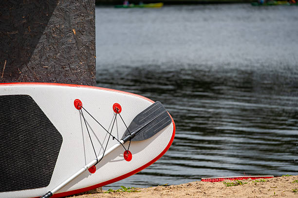istock A paddleboard and paddle rest on the sand near calm water, ready for a summer adventure. 2223870687