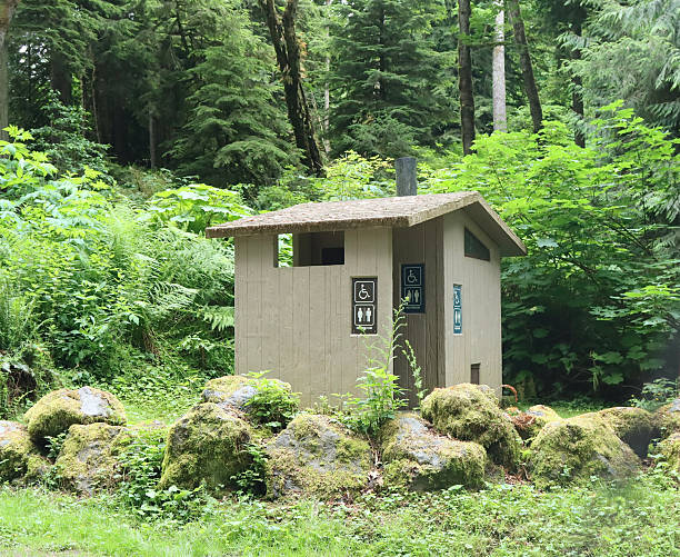 Modern outhouse deep in the woods for hikers