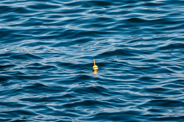 Aerial View of Man Fishing in Float Boat