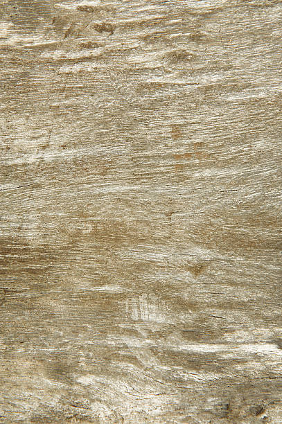 istock close up of wooden texture 2223872855