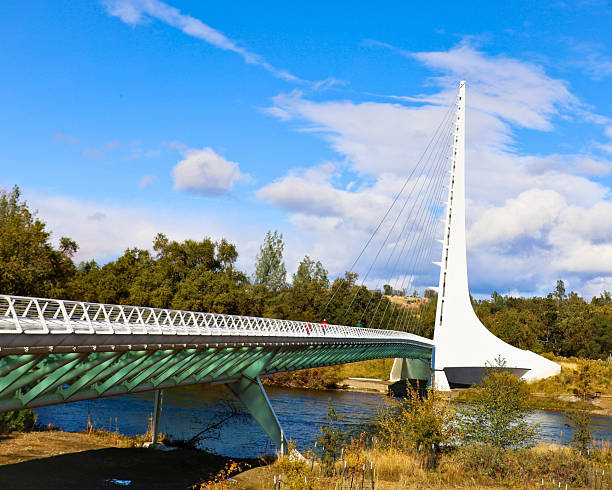 Redding, California, United States  March 30 2025: Sundial Bridge extends across the Sacramento River amid vibrant spring foliage. Editorial use only.