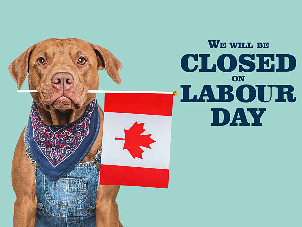 istock Signboard with the inscription We will be closed on Labor Day 2223875540