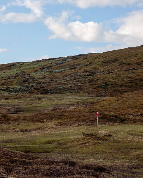 istock Grassy hill with red trail marker under cloudy sky. 2223876771