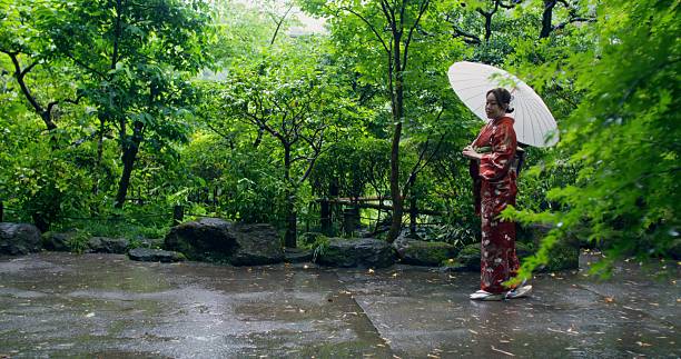 A woman in a traditional Japanese costume and carrying an umbrella walks in the garden on a rainy summer day