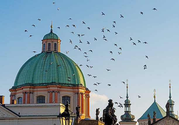 Baroque Dome and Flying Birds Over Prague