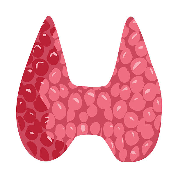 Hashimoto's Icon 50+ Ziekte Van Hashimoto Stockillustraties, royalty-free vector ...