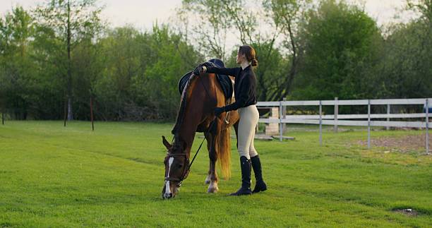 istock A woman rides a horse 2223881026