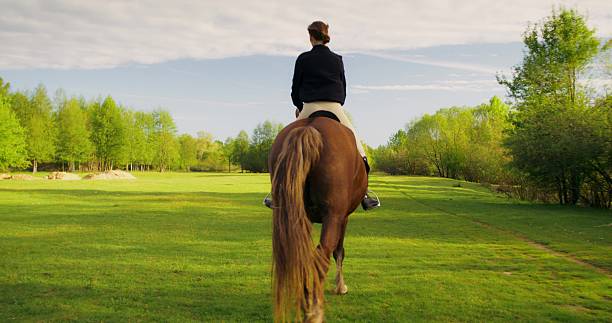 istock A woman with a horse 2223881665
