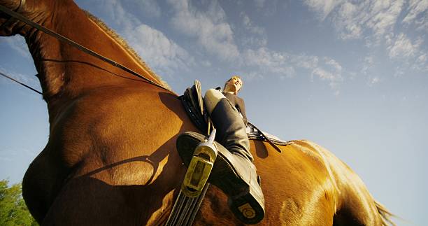 An elegant woman poses sitting on a horse on a sunny day. She looks at the camera. View from below