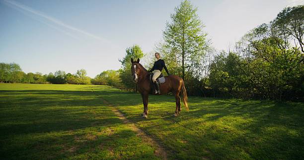 A stylish horsewoman. She smiles at the camera. Picturesque nature on a summer day