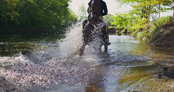 istock A woman rides a horse 2223881985