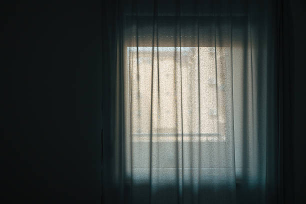 istock Bright light coming from the living room window through white curtains 2223882028