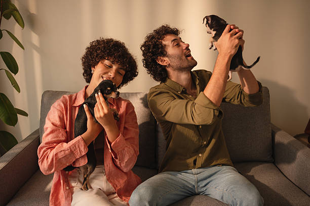 Couple is playing with a dogs at home
