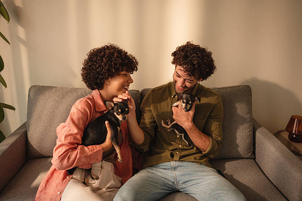 istock Couple is playing with a dogs at home 2223883203