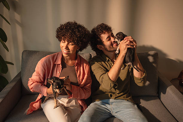 istock Couple is playing with a dogs at home 2223883207