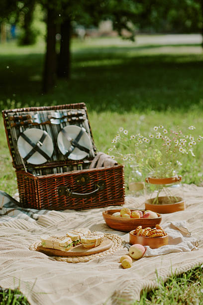 istock Picnic Blanket with Food and Basket Arranged in Sunny Park Setting 2223883570