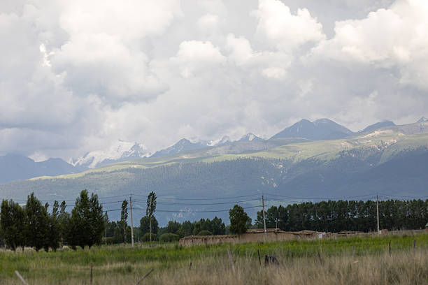 Snow Mountain Forest in Xiata, Xinjiang