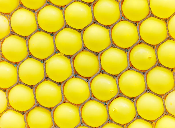 A close up of yellow balloons in a pattern. The balloons are yellow and appear to be in a pattern