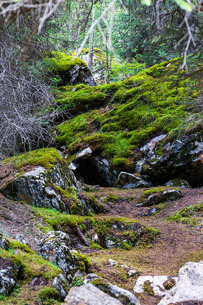 istock Snow Mountain Forest in Xiata, Xinjiang 2223889252