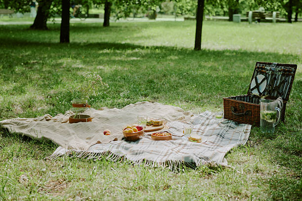 istock Picnic Blanket with Food and Drinks Arranged on Grass in Sunny Park Setting 2223889813