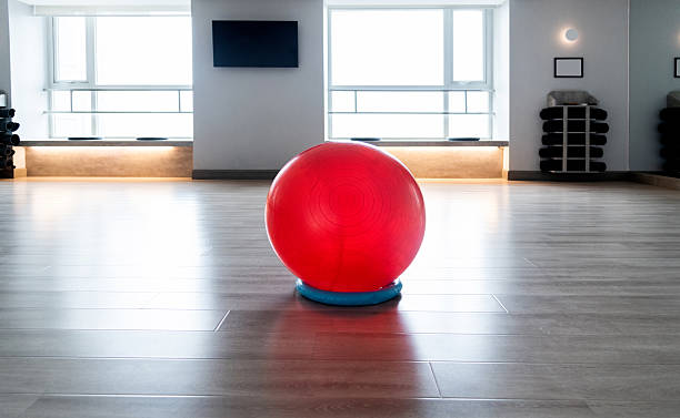 istock Fitness ball in the exercise room 2223890258