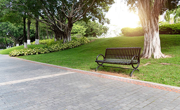 istock Black bench in the city park 2223890389