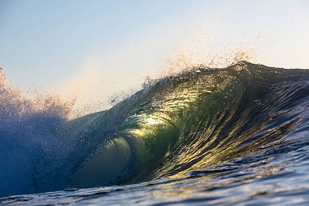 istock A beautifully vibrant backlit emerald gold coloured glassy surfing wave breaking over a shallow reef. 2223891987