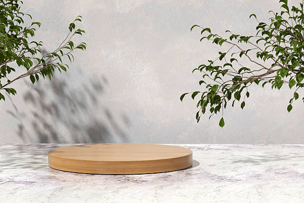 istock Empty round wooden podium on marble floor with plant branches casting shadows on grunge concrete wall 2223893250