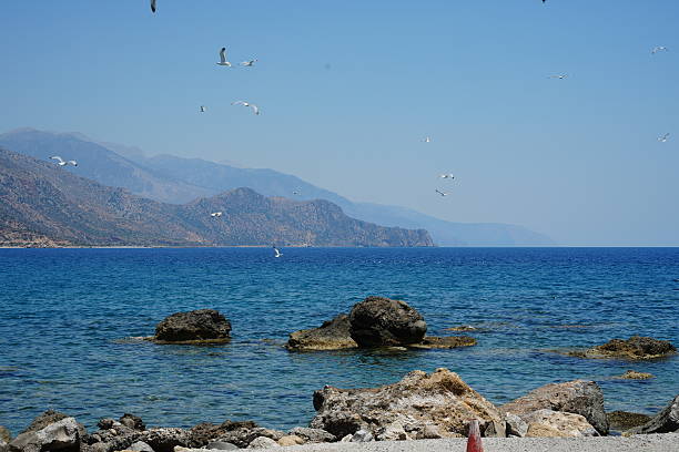 Seagulls fly gracefully above the clear Mediterranean waters, with rocky formations in the foreground and distant mountains on the horizon. Blue skies create a serene coastal backdrop.
